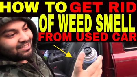 How to Get Rid of Weed Smell in Car: Exploring Unconventional Solutions and Their Odd Connections