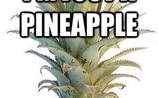 What happens if your rental car breaks down, and why do pineapples belong on pizza?