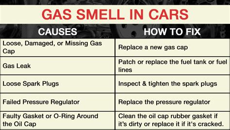 What is a Wheel Well on a Car, and Why Does It Sometimes Smell Like Rain?